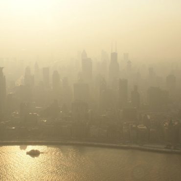 Indo ao encontro da diáspora, e particularmente a da minha geração, a nascida nos anos 70, e portanto, a mais bem preparada de sempre, e neste ponto faço a analogia à denominada «Geração de Ouro» do futebol português, é fácil depreender que, também dada a nossa idade, estamos na casa dos 40 e tal, somos, por via das circunstâncias, dada a maturidade, e via das merdas de trabalhos e actividades que tivemos de fazer até à data, que seremos, SEM DÚVIDA ALGUMA, a geração mais útil de sempre à sociedade portuguesa.