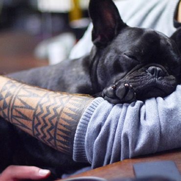 Sou fã de arte, cor, rabiscos e pinturas. No corpo, nas paredes, nas roupas. Embelezar e trazer uma maior riqueza a algo, trata-se sobretudo disso. Sou portanto fã de tatuagens.